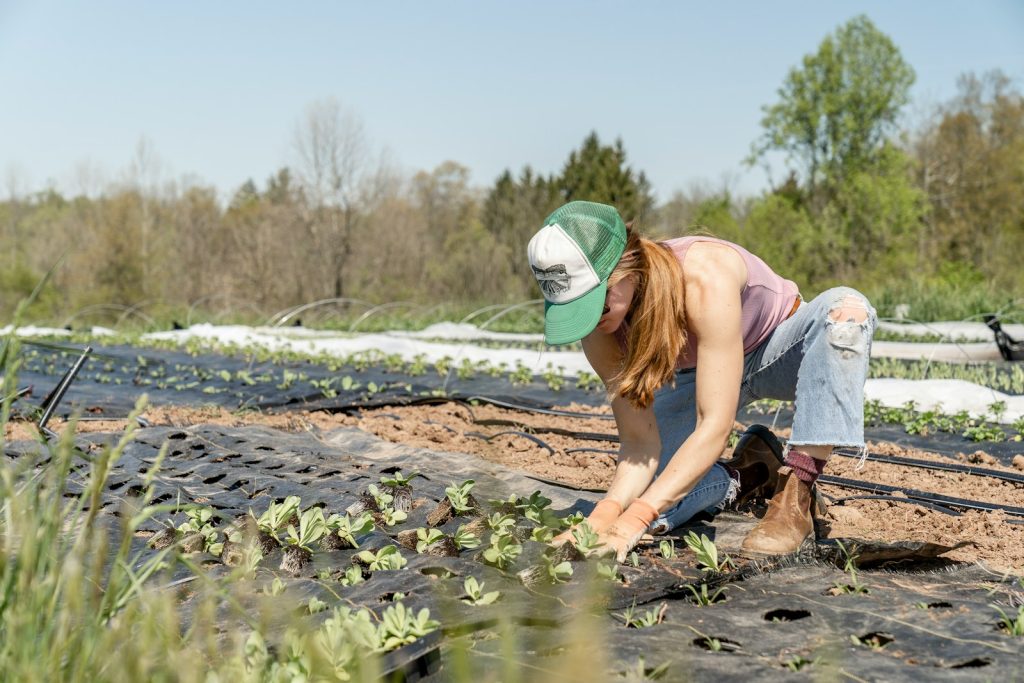 agriculture durable