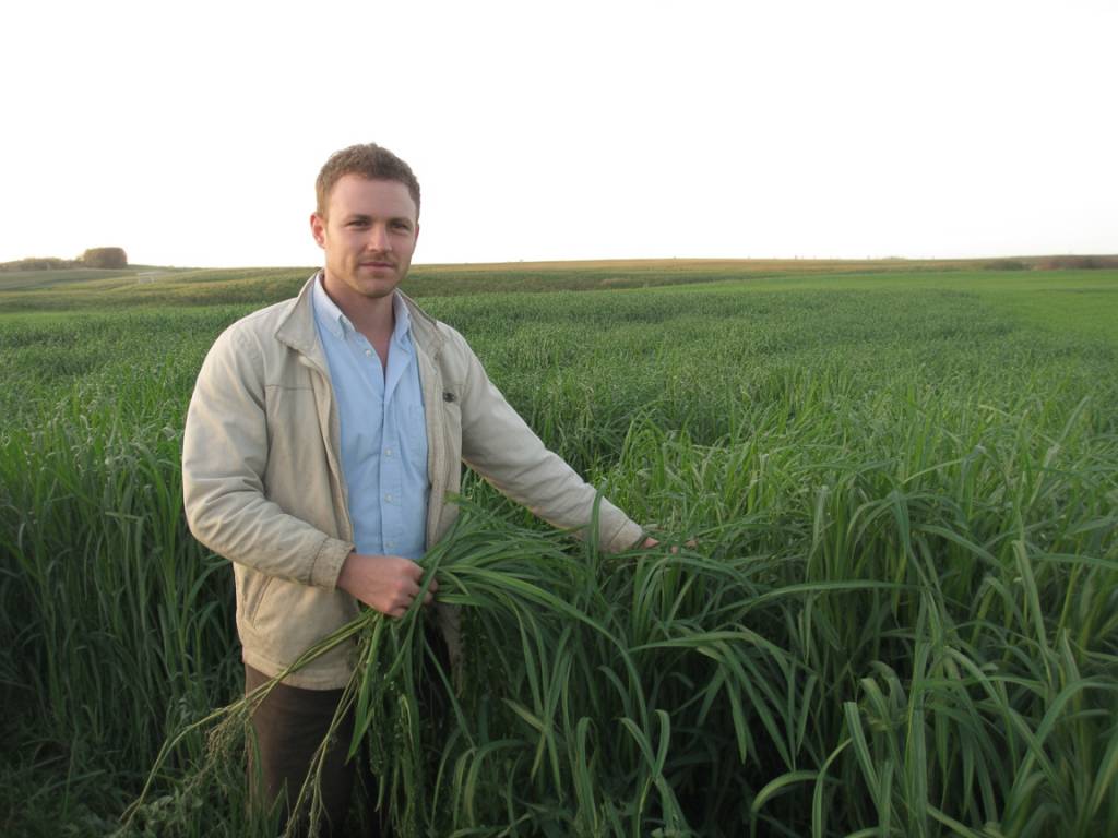 Agriculture de conservation des sols : principes, bénéfices et mise en œuvre étape par étape sur la ferme Agriculture de conservation des sols : principes, bénéfices et mise en œuvre étape par étape sur la ferme