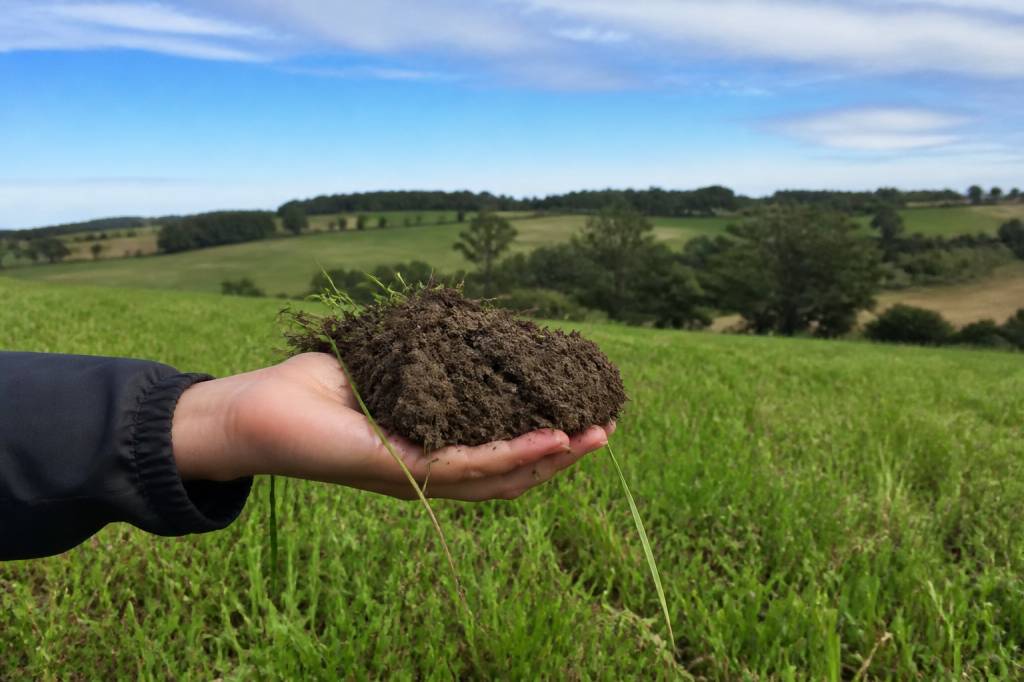 Abattage volaille à la ferme : réglementation, méthode et bonnes pratiques Abattage volaille à la ferme : réglementation, méthode et bonnes pratiques