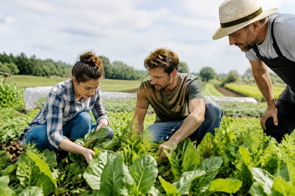 Formation dans le bio : les parcours pour se former à l’agriculture biologique Formation dans le bio : les parcours pour se former à l’agriculture biologique